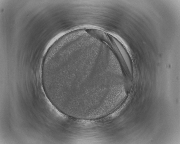 X0000085760910200704131734