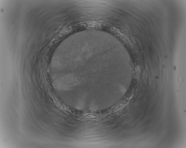 X0000085760913200704131734