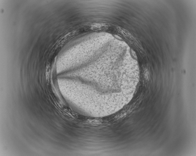 X0000085760914200704131734