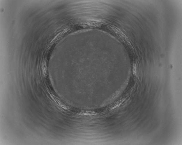 X0000085760915200704131734