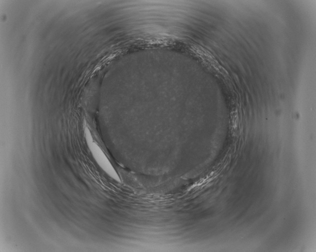 X0000085760916200704131734
