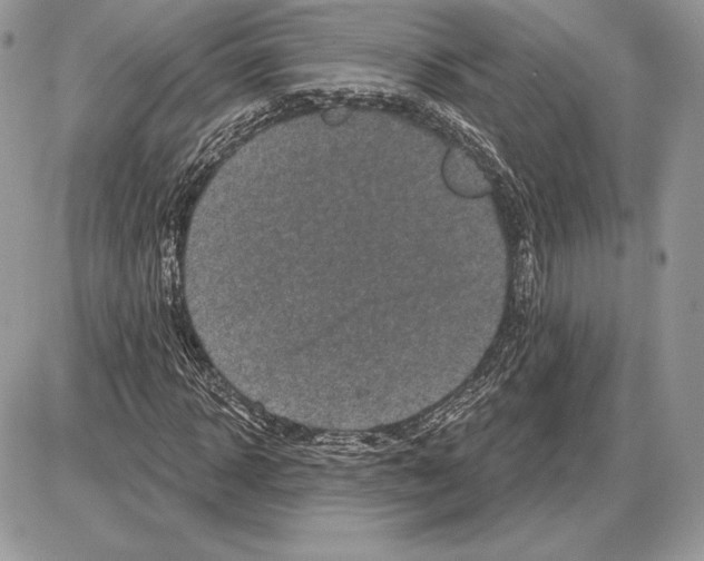 X0000085760918200704131734