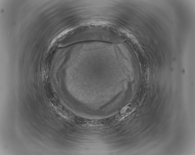 X0000085760920200704131734
