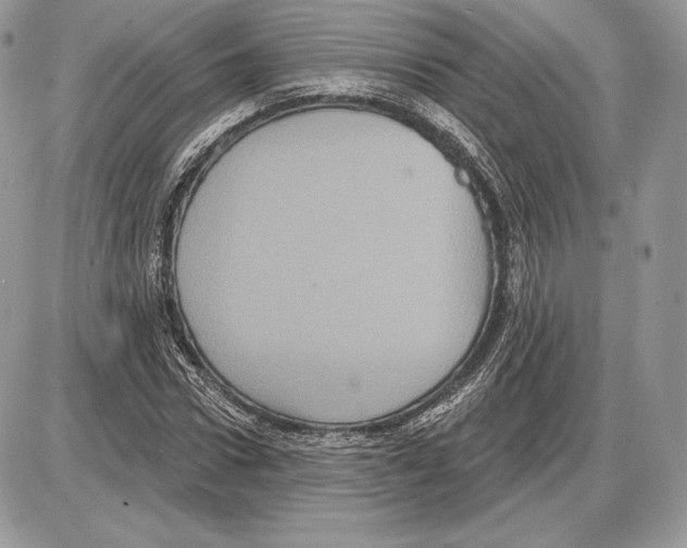X0000085760922200704131734
