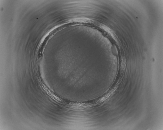 X0000085760923200704131734