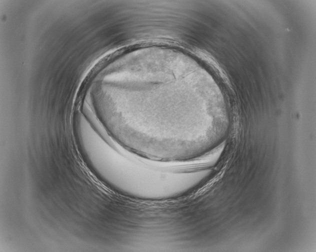 X0000085760924200704131734