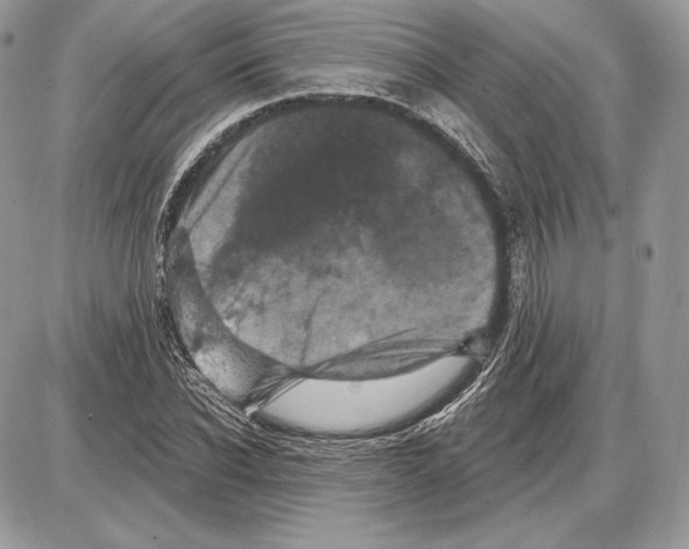 X0000085760926200704131734