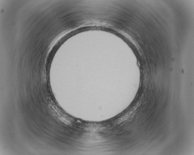 X0000085760927200704131734