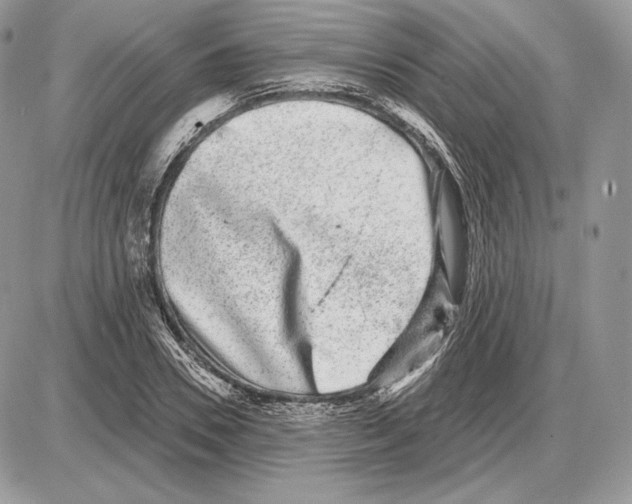 X0000085760930200704131734