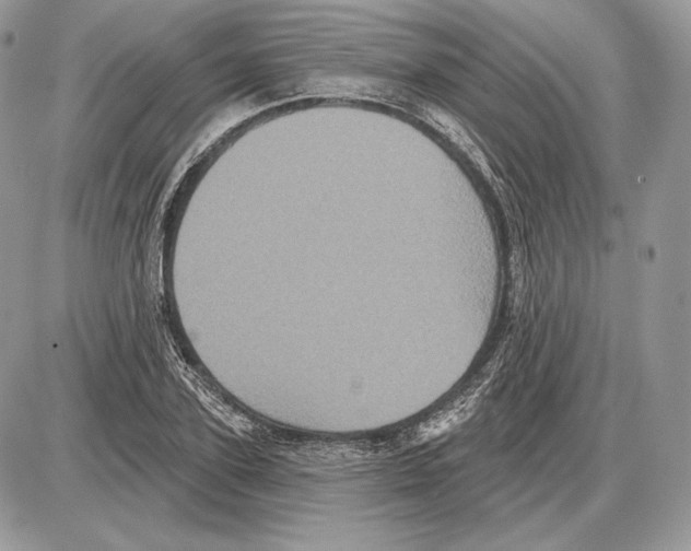 X0000085760931200704131734