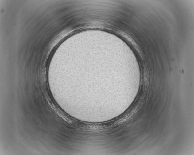 X0000085760933200704131734