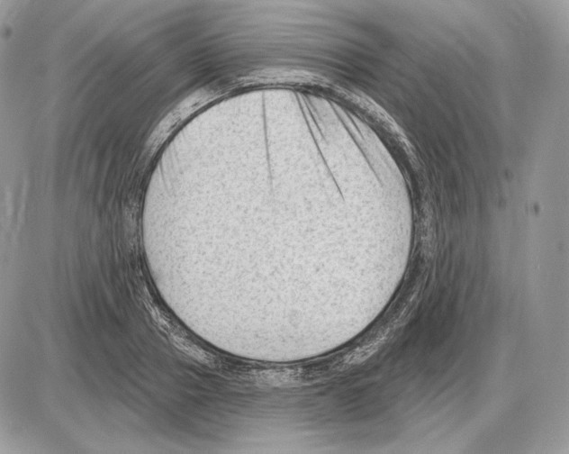 X0000085760937200704131734