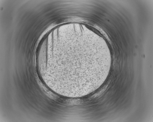 X0000085760939200704131734