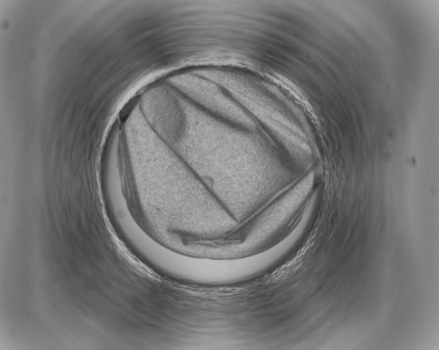 X0000085760942200704131734