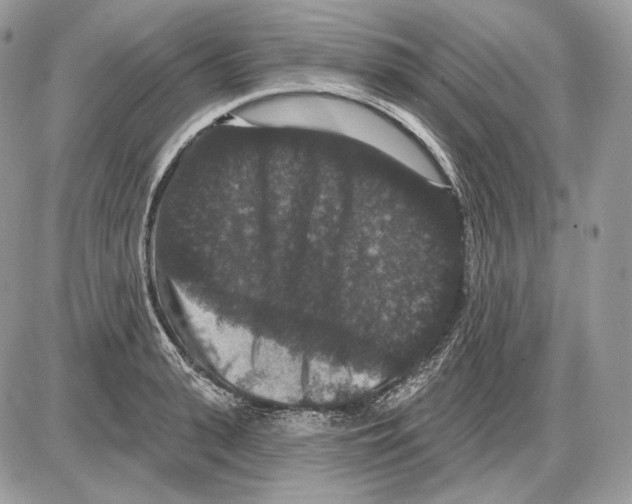 X0000085760943200704131734