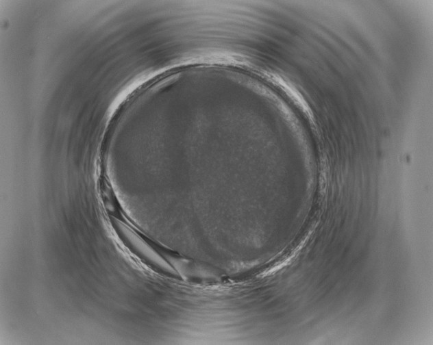 X0000085760944200704131734