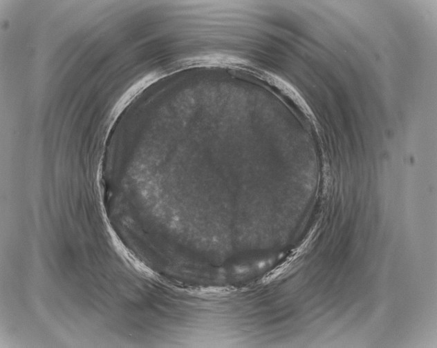 X0000085760946200704131734