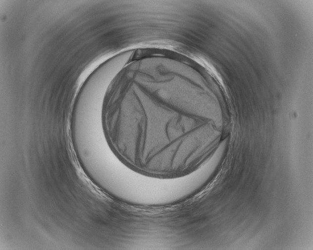 X0000085760952200704131734