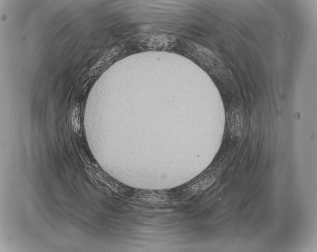 X0000085760962200704131734
