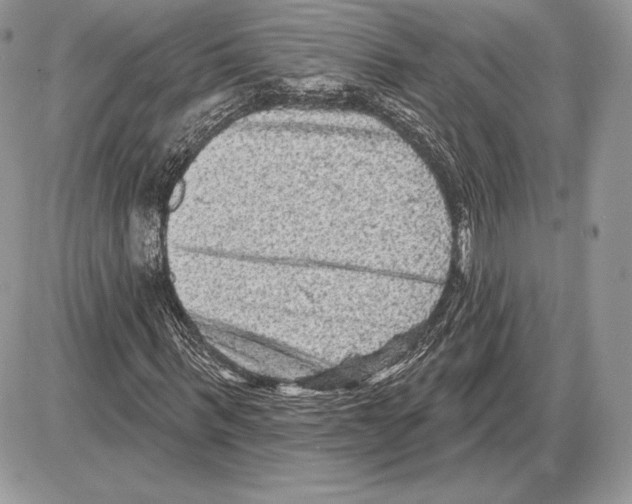 X0000085760963200704131734