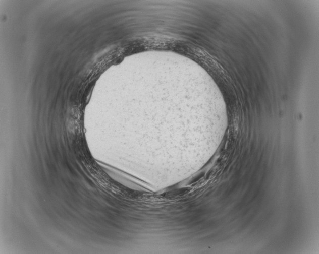 X0000085760964200704131734