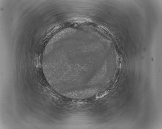 X0000085760965200704131734