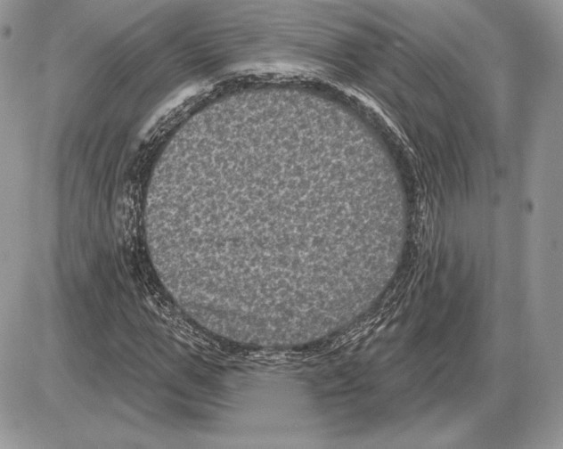 X0000085760967200704131734