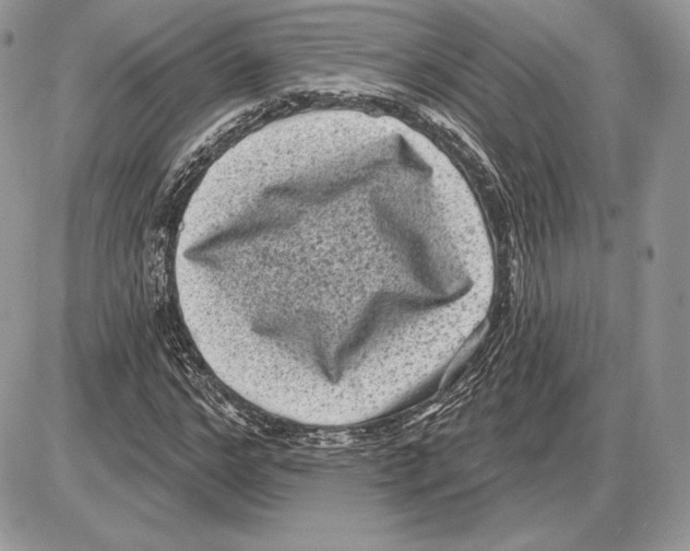 X0000085760968200704131733
