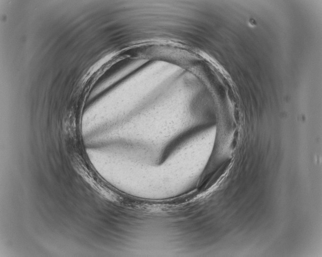 X0000085760969200704131733