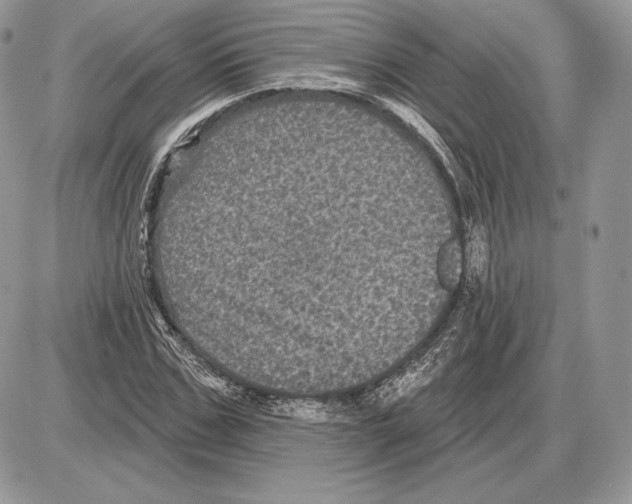 X0000085760971200704131733