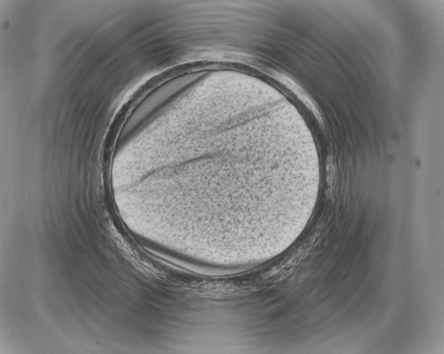 X0000085760972200704131733