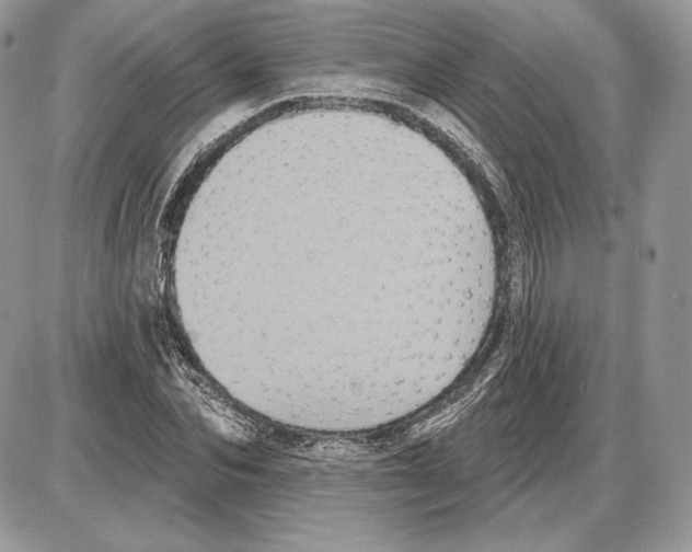 X0000085760974200704131733