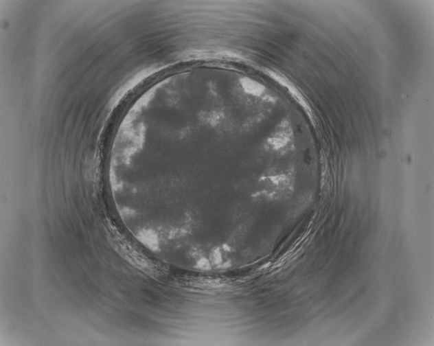 X0000085760975200704131733