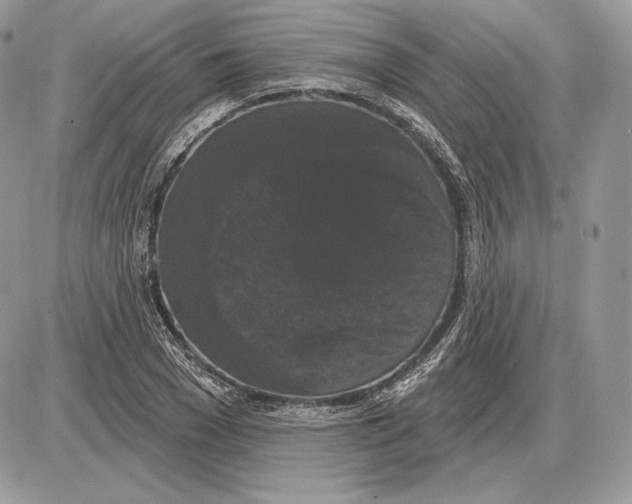 X0000085760977200704131733