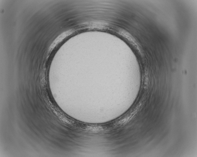 X0000085760978200704131733