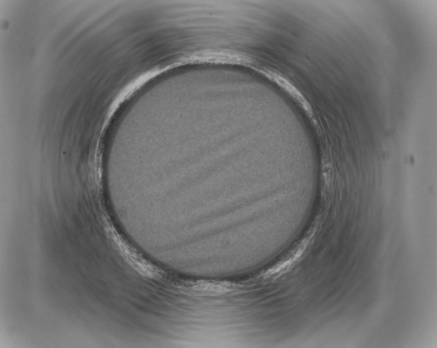 X0000085760981200704131733