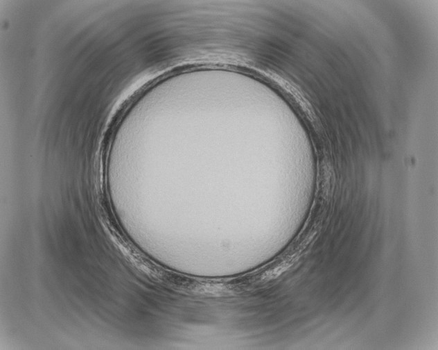 X0000085760982200704131733