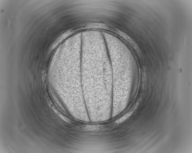 X0000085760985200704131733
