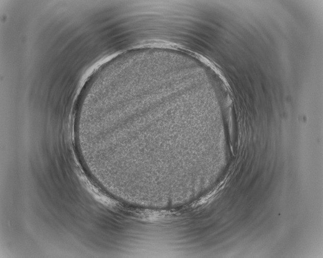 X0000085760987200704131733
