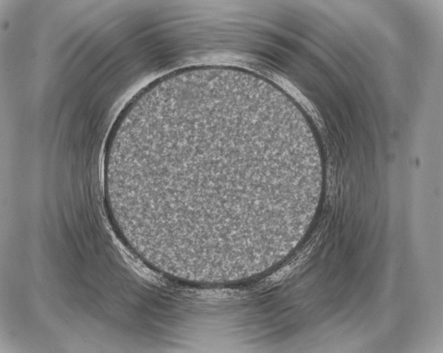X0000085760988200704131733