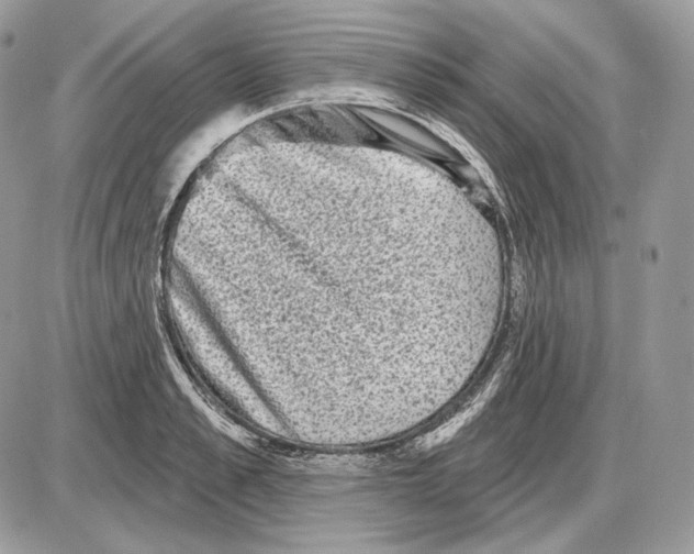 X0000085760989200704131733