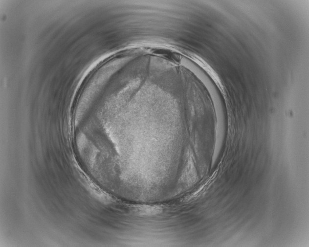 X0000085760996200704131733