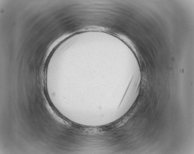 X0000085761003200704131733