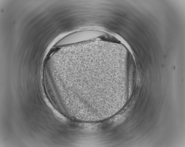 X0000085761005200704131733