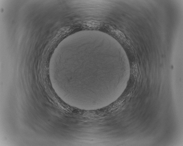 X0000085761009200704131732