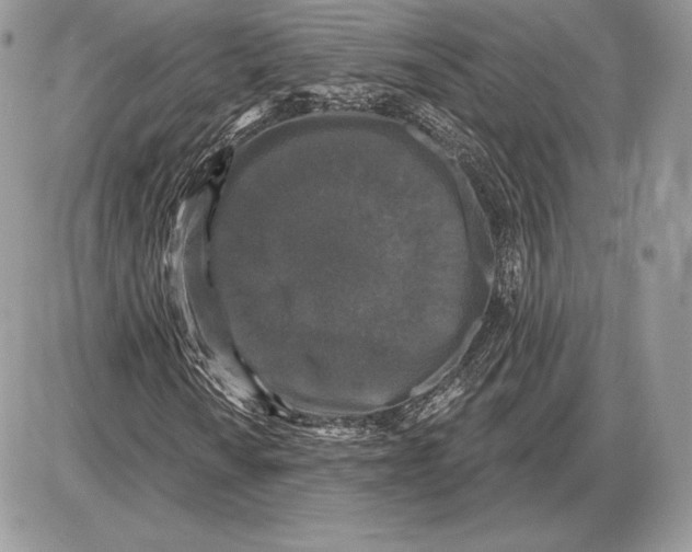 X0000085761010200704131732