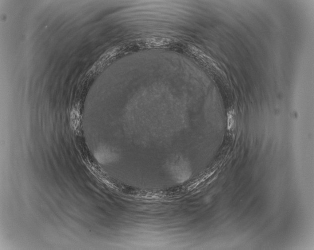 X0000085761011200704131732