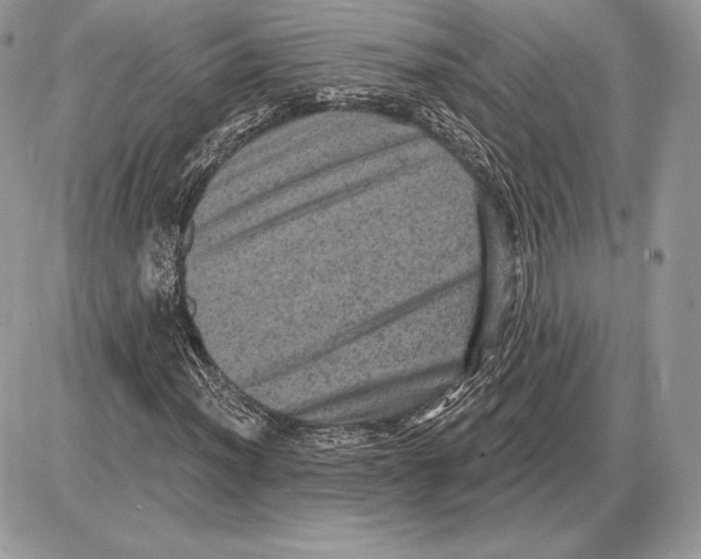 X0000085761012200704131732