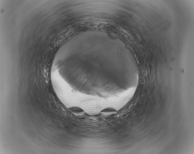 X0000085761013200704131732