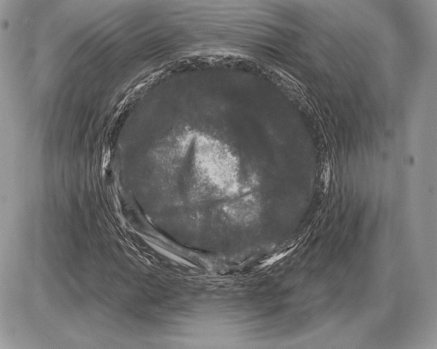 X0000085761014200704131732
